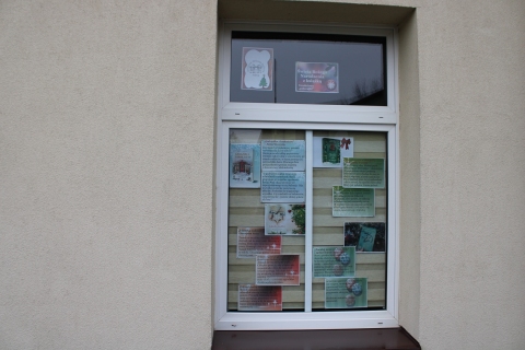 Zdjęcie prezentuje wystawę na oknach Powiatowej Biblioteki Publicznej opisującą książki, które w niezwykły sposób opisują bożonarodzeniowy nastrój, rodzinne spotkania i zimowe przygody.