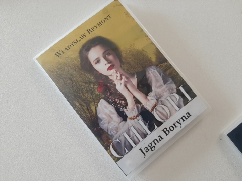 Zdjęcie prezentuje wystawę powieszoną na korytarzu przed biblioteką prezentującą różne okładki książek, w których ważna rolę odgrywają kobiety. 