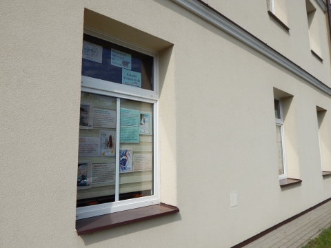 Zdjęcie prezentuje wystawę na oknach Powiatowej Biblioteki Publicznej w Puławach pt. „Książki z latem w tle”.