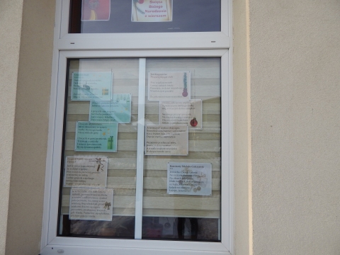 Zdjęcie prezentuje wystawę na oknach Powiatowej Biblioteki Publicznej w Puławach pokazującą najpiękniejsze wiersze o tematyce świątecznej polskich poetów. 