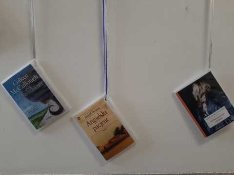 Zdjęcie prezentuje wystawę powieszoną na korytarzu przed biblioteką prezentującą różne okładki książek, których głównym tematem jest miłość. 