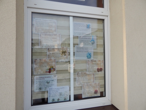 Zdjęcie prezentuje wystawę na oknach Powiatowej Biblioteki Publicznej w Puławach pokazującą najpiękniejsze wiersze o tematyce świątecznej polskich poetów. 