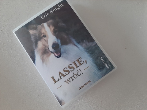 Zdjęcie prezentuje wystawę powieszoną na korytarzu przed biblioteką prezentującą różne okładki książek w których głównym bohaterem jest pies.