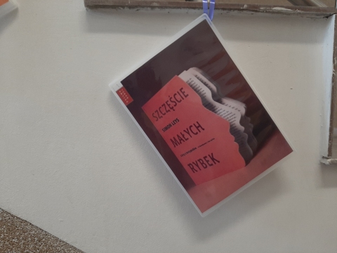 Zdjęcie prezentuje wystawę powieszoną na korytarzu przed biblioteką prezentującą różne okładki książek, w których to właśnie książka jest głównym bohaterem. 