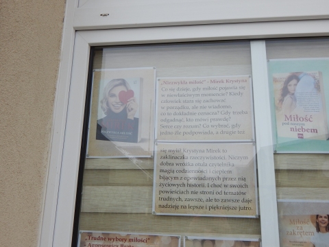 Zdjęcie prezentuje wystawę na oknach Powiatowej Biblioteki Publicznej w Puławach pokazującą najciekawsze książki z wyrazem „miłość” w tytule.