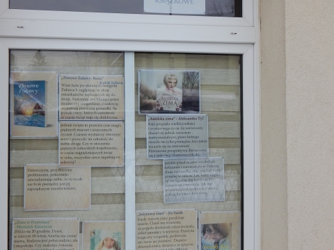 Zdjęcie prezentuje wystawę na oknach Powiatowej Biblioteki Publicznej w Puławach prezentującą książki z zimową aura w tle.
