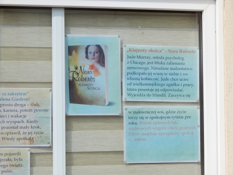 Zdjęcie prezentuje wystawę na oknach Powiatowej Biblioteki Publicznej w Puławach promującą  wakacyjne propozycje książkowe z wyrazem „słońce” w tytule. 