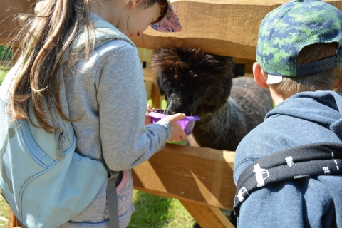 Fotorelacja z wydarzeń, które odbyły się w ramach projektu „Dziecięca podróż w świat słowa i zabawy” realizowanego przez Przedszkole i Bibliotekę Publiczną w Kazimierzu Dolnym.