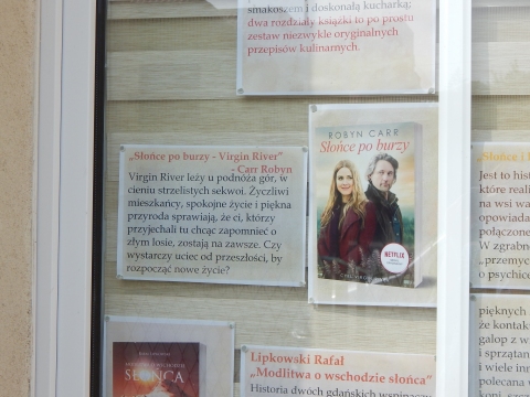 Zdjęcie prezentuje wystawę na oknach Powiatowej Biblioteki Publicznej w Puławach promującą  wakacyjne propozycje książkowe z wyrazem „słońce” w tytule. 