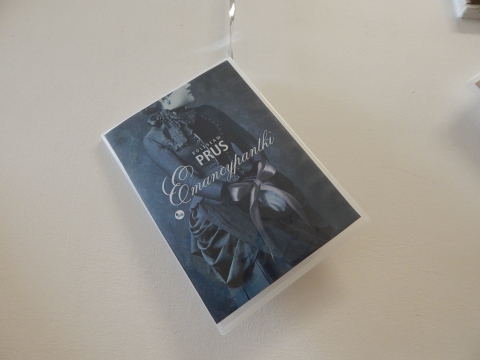 Zdjęcie prezentuje wystawę powieszoną na korytarzu przed biblioteką prezentującą różne okładki książek autorstwa Bolesława Prusa. 